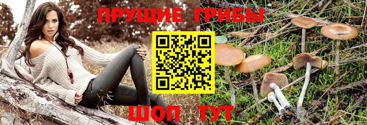 Галлюциногенные грибы мицелий Ипатово